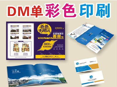 温岭单页印刷，色彩搭配简单。